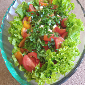 salada alface, tomate, pepino, cebola, cenoura 