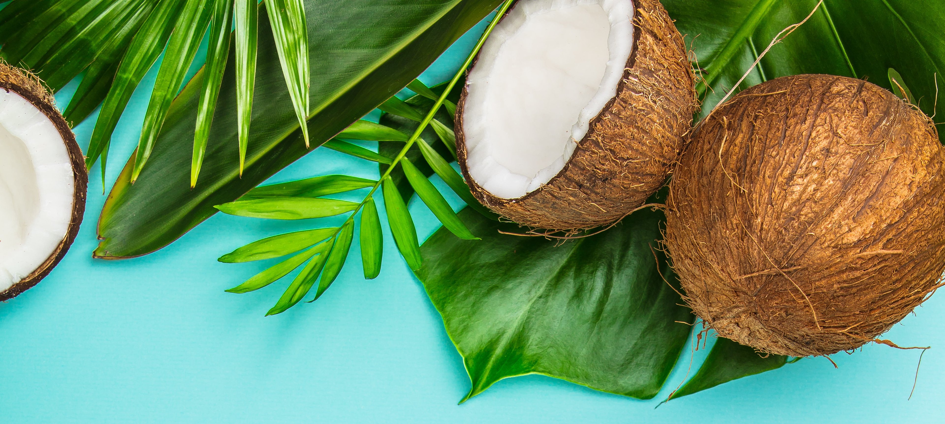 Benefícios da polpa do côco verde para a saúde Coco Propriedades E Beneficios Da Fruta Cuidai